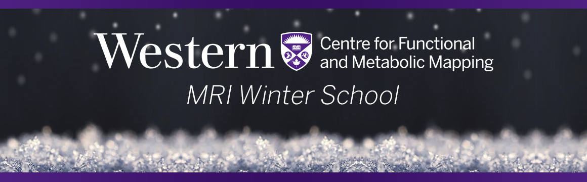 Winter School Banner
